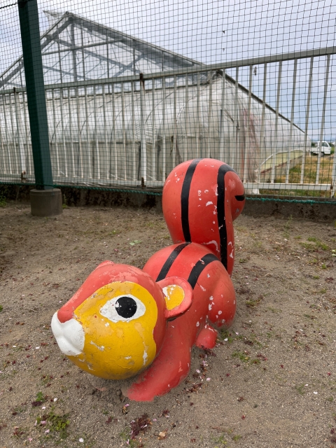 IMG_0205.jpeg
