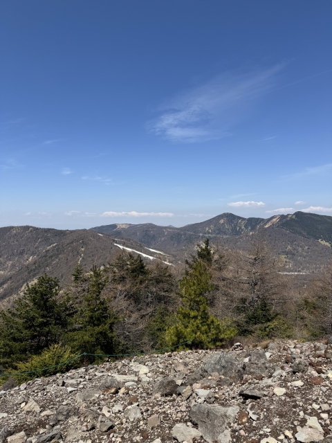 IMG_0573.jpeg