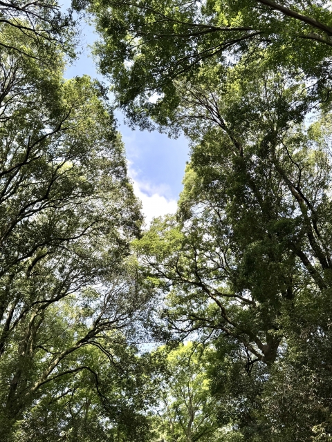 IMG_1402.jpeg