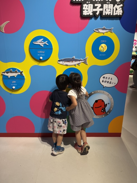 IMG_2633.jpeg