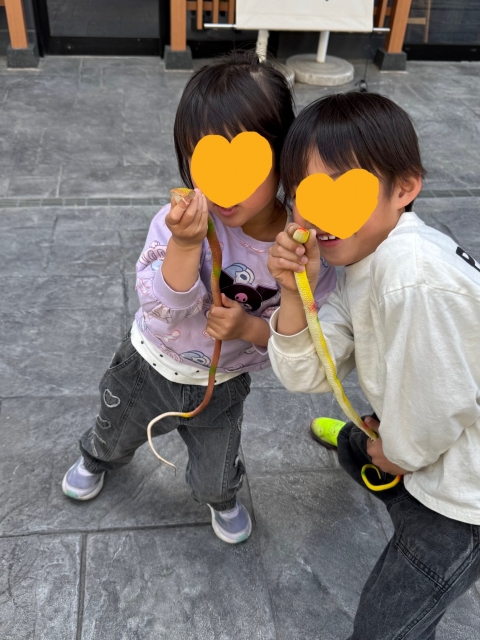 IMG_2690.jpg
