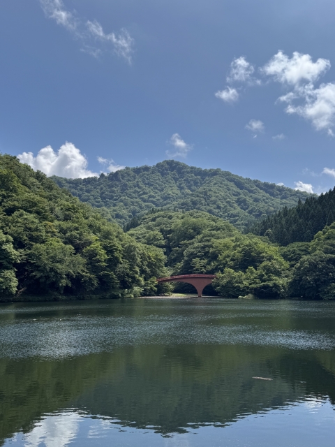 IMG_3021.jpeg