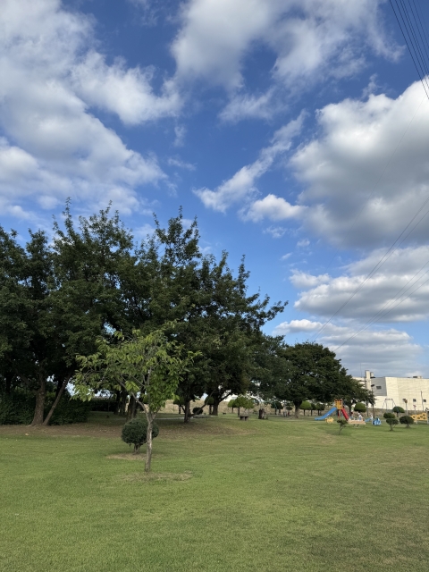 IMG_3781.jpeg