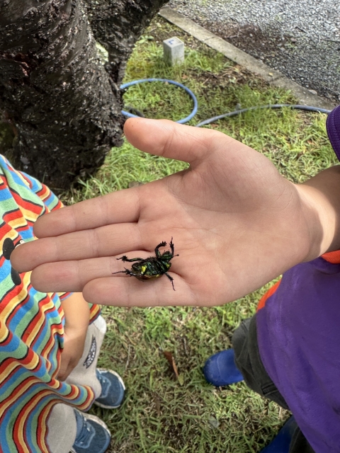 IMG_4097.jpeg
