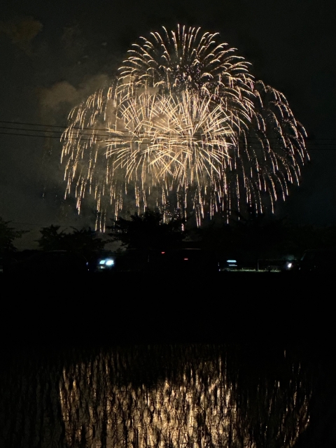 IMG_4806.jpg